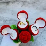Hug Ring
